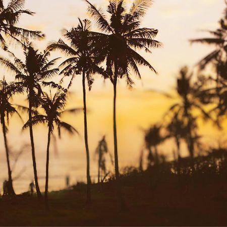 تانجالي Amour At Turtle Beach المظهر الخارجي الصورة