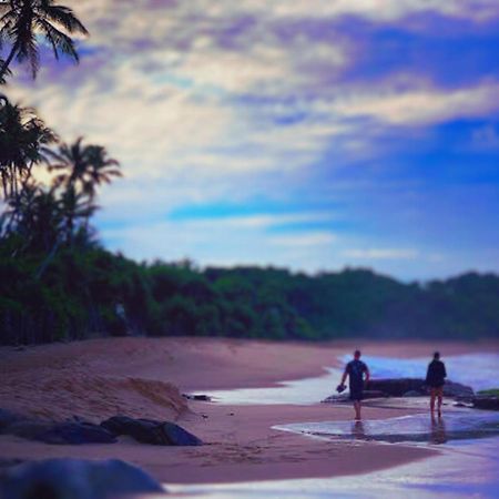 تانجالي Amour At Turtle Beach المظهر الخارجي الصورة