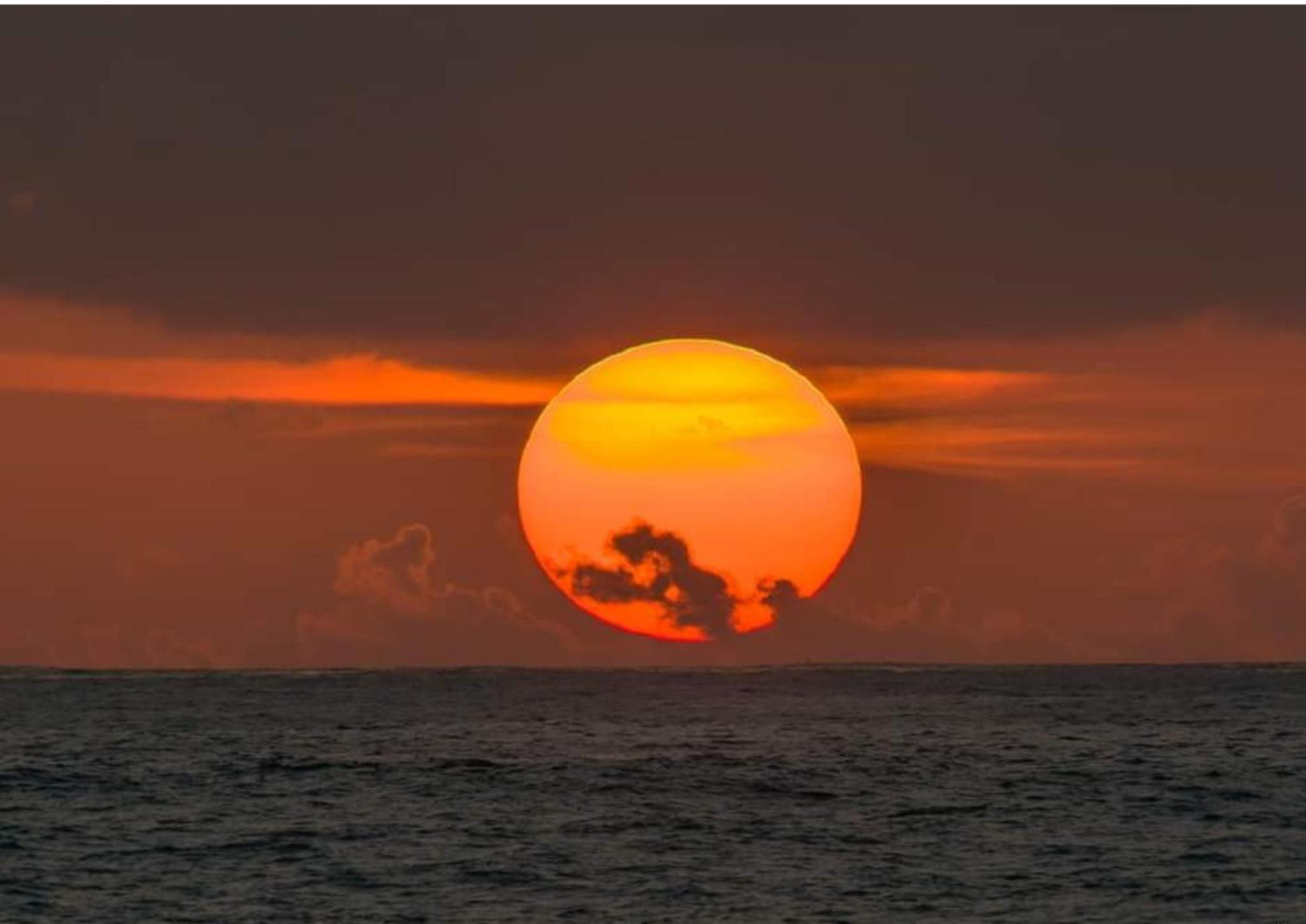 تانجالي Amour At Turtle Beach المظهر الخارجي الصورة